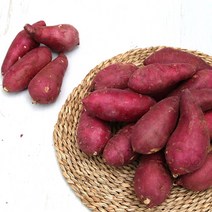 국내산 고구마 꿀밤고구마 꿀고구마 10kg 5kg 3kg내외, 1BOX, 고구마 특 5kg내외