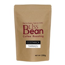 브리스빈 250g 코스타리카 따라주 당일로스팅 원두커피 가루, 원두상태
