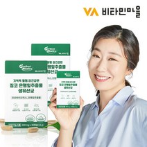 비타민마을 기억력혈행 은행잎추출물 생유산균 60캡슐 2박스, 단품, 단품