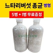 대형 화분 플라스틱 텃밭 상추 수경재배 대파 키우기, 텃밭화분_그린+배양토20L