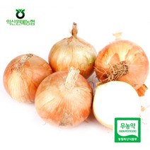 한아름드린 [농협] 무농약 양파 3kg/특(개당중량150g이상), 1
