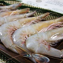 청정태안 자연산 대하 1kg(12-13미내외/급냉)