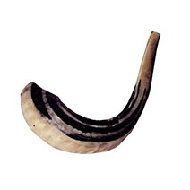 유다이카 Place 코셔 램 쇼파르 이스라엘 내추럴, 9.5