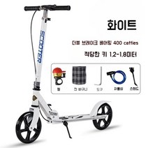두발킥보드 성인킥보드, 화이트