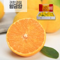제주 고급과일 감귤 황금향 3kg 5kg 프리미엄과, 1박스