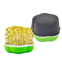 집에서 콩나물 키우기 키트 세트 재배기 새싹 보리 유치원 어린이집 체험 놀이