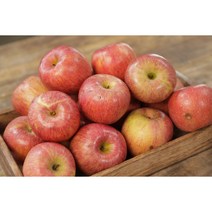 한입사과 꼬마사과 가정용 경북 햇 사과 1kg 2kg 5kg, 1개, 소과 1kg (3~7개입)