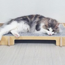 국산 강아지대리석 쿨 매트 애견 고양이 천연 대리석 매트, 아이스팩