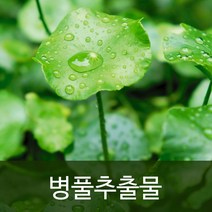 병풀추출물, 50ml
