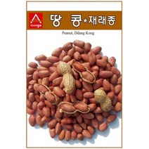 콩씨앗종자) 땅콩 재래종땅콩(30g) S2568