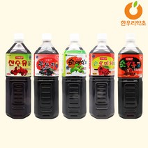 오미자 엑기스 1병, (엑기스) 오미자액 1개