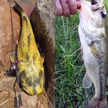 티타늄초릿대 FELENHAI 스피닝 캐스팅 Fuji Lure 낚싯대 1681821242730315m 30T 탄소 370g Baitcasting Tra, 08 Spinning 21m 1030g