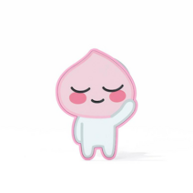 카카오프렌즈 전신형 휴대폰 그립톡, 어피치, 1개