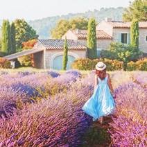 프리미엄 프래그런스 향수오일 향수만들기 디퓨저재료 향료 방향제 룸스프레이DIY, FO프리미엄 프렌치라벤더향 10ml