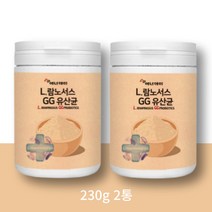람노스유산균 엘지지유산균 에너데이 락토바실러스 L람노서스 230g, 람노서스LGG2통