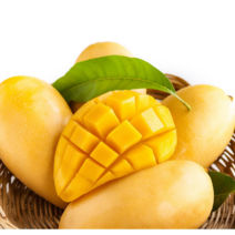 모두의보부상 망고 [항공직수입] 2차선별 18Brix 특대사이즈 태국망고 골드망고, 2.5kg (7과수 내외), 1개