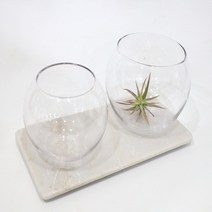 투명 유리볼 테라리움 유리병 화병 용기 만들기 재료 보틀리움 이끼