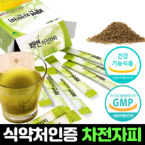 차전자피 가루 식이섬유 보충제 분말 식약처 인정 건강기능식품 차전자 환 가루 알약 정 캡슐 효능 추천, 2박스, 2개 (60포 2개월분)