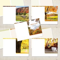 예닮 52주 주보 가을 5종 주보용지 교회주보 교회주보용지 주보모음 각100매, 2세트