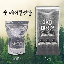 숯 활성탄 구슬 숯가루 에어활성탄 제습재 베이크아웃 새집증후군 습기제거 냄세제거 유해가스 미세먼지 장롱 옷장 헬스장 새차 필터내장재, 400g