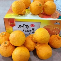 2023년 나영이네농장 고당도 한라봉 천혜향 2.5kg 4.5kg 9kg- 달아요 산지직송 실중량, 한라봉 9kg(20~29과)특대과-벌크