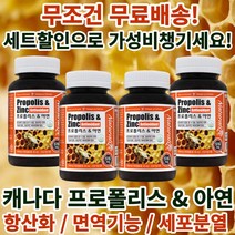 정성홍의 캐나다 직수입 프로폴리스 & 아연 비염 염증 면역력 에 좋은 영양제 약 90 캡슐 4개