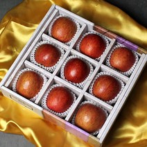 꿀 사과 홍로 3KG 9과 명절 선물세트