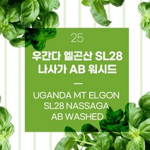 (커피생두) 25 우간다 엘곤산 SL28 나사가 AB 워시드 1kg, 1개