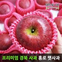 이츠올릿 경북 햇 홍로 부사 꿀 사과 5kg 정품 꼬마과(25-28과) 껍질째 먹는 청송 안동 문경 장수, 1개