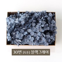 화연양화 블루밍수국 박스수국 컬러최다 30색! 프리저브드플라워, 30 투톤-블랙그레이