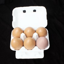 새날놀이 4구 6구 흰색 종이 달걀케이스(10개) 계란판 달걀판 달걀상자, 1개, 6구(10개)