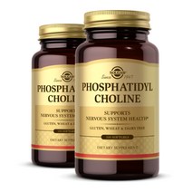 솔가 포스파티딜콜린 Phosphatidylcholine 100정 2개, 100개