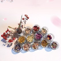 불면증 두통 자궁에 좋은 꽃차소믈리에 프리미엄 대용량 꽃차, 인삼열매, 20g