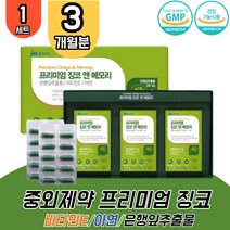 중외제약 징코 은행잎추출물 1세트 대용량 고함량 비타민E 아연 플라보놀배당체 기억력 인지력 혈행 개선 두뇌 영양제 은행엽 효능 고3 수험생 청소년 부모님 할머니 ginko GINKGO, 1개