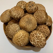 참나무원목 유기농 산지직송 표고버섯 생표고 특상품 1kg, 1개