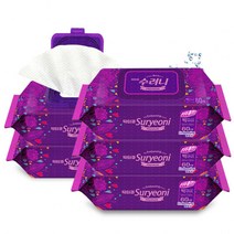 수려니 빅 사이즈 물티슈 60매 x5개 대형 물티슈 순면느낌, 빅 사이즈 엠보싱 물티슈 60매 x5개