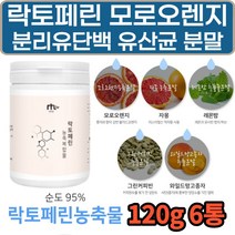 우유추출 분리유단백 면역글로블린 초유추출 락토페린 MBP MPB 분리유청 부모님 노인 중년 단백질 보충제 쉐이크 식사대용 WPC 효능 추천 어린이 아이 높은순도 가성비 밀크칼슘
