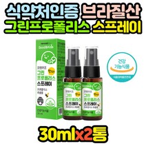 구강 향균 브라질 그린 프로폴리스 스프레이 x2병 목 BEEPROPOLIS 효능 효과 추천 면역 70대 80대 90대
