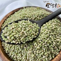 녹미쌀 최저가로 저렴한 상품의 가성비와 싸게파는 상점 추천