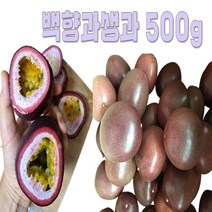패션후르츠청만들기 국산 백향과생과 500g, 1개
