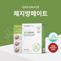 세라젬 세라메이트 체지방메이트 60정가르시니아 콜레우스포스콜리 체지방컷팅제