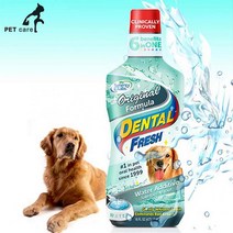 덴탈 후레쉬 독 오리지널 503ml(물에타주는오랄케어), 1