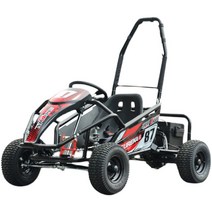 사륜자전거 삼륜자전거 자전거대여점 4륜자전거, 단일 125CC 전기 시동 가솔린 스노우 버전