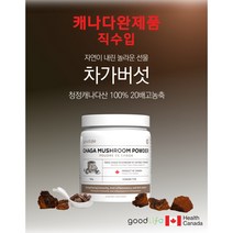 청정 100% 캐나다 차가버섯파우더 수량한정 30%빅할인!! (할인이 절대없기로 유명한 굿라이프 10만돌파기념 수량한정 빅할인행사), 1개
