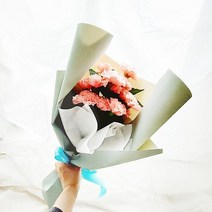 어버이날 스승의날 어린이집 카네이션 조화 핑크 레드.해지인, 레드