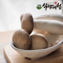 식탐대첩 국내산 미니 새송이버섯 1kg, 1개