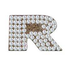 HRH Pets Cubic Zirconium Charm Letter R null, 1, 기타