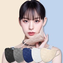 바반트 컬러 노제 마스크 10매 새부리형 체크 패턴, 대형(성인남성 추천), 바반트 다크그레이 10매