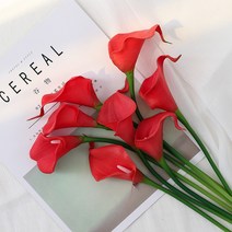 화이트 카라 조화 카라부케 웨딩촬영 부케, C