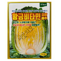 황금비타민 김장배추 씨앗 500립 베타카로틴과 루테인성분이 풍부한 가을배추 종자 다나씨드
